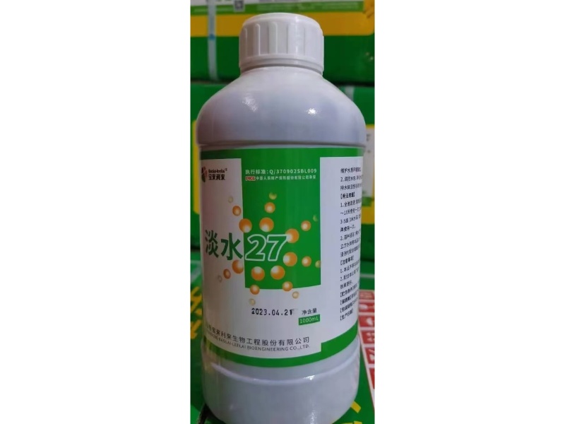 淡水27_副本_副本.jpg